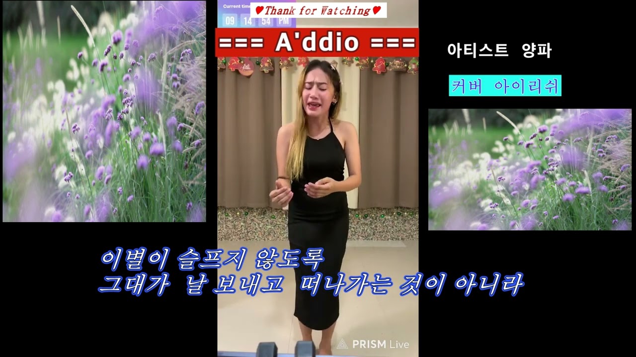 아이리쉬 A ,ddio 251213