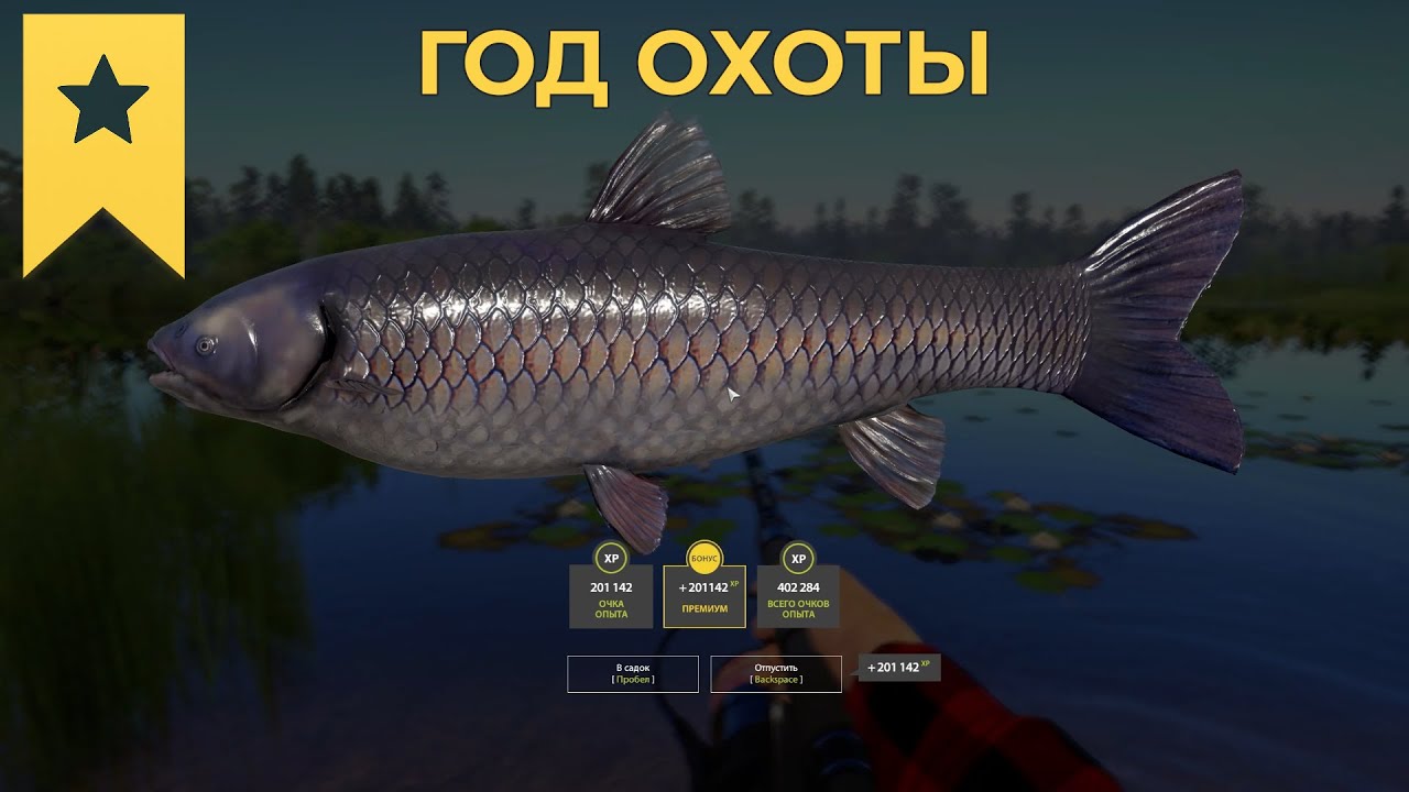 Амур ТРОФЕЙ!!!