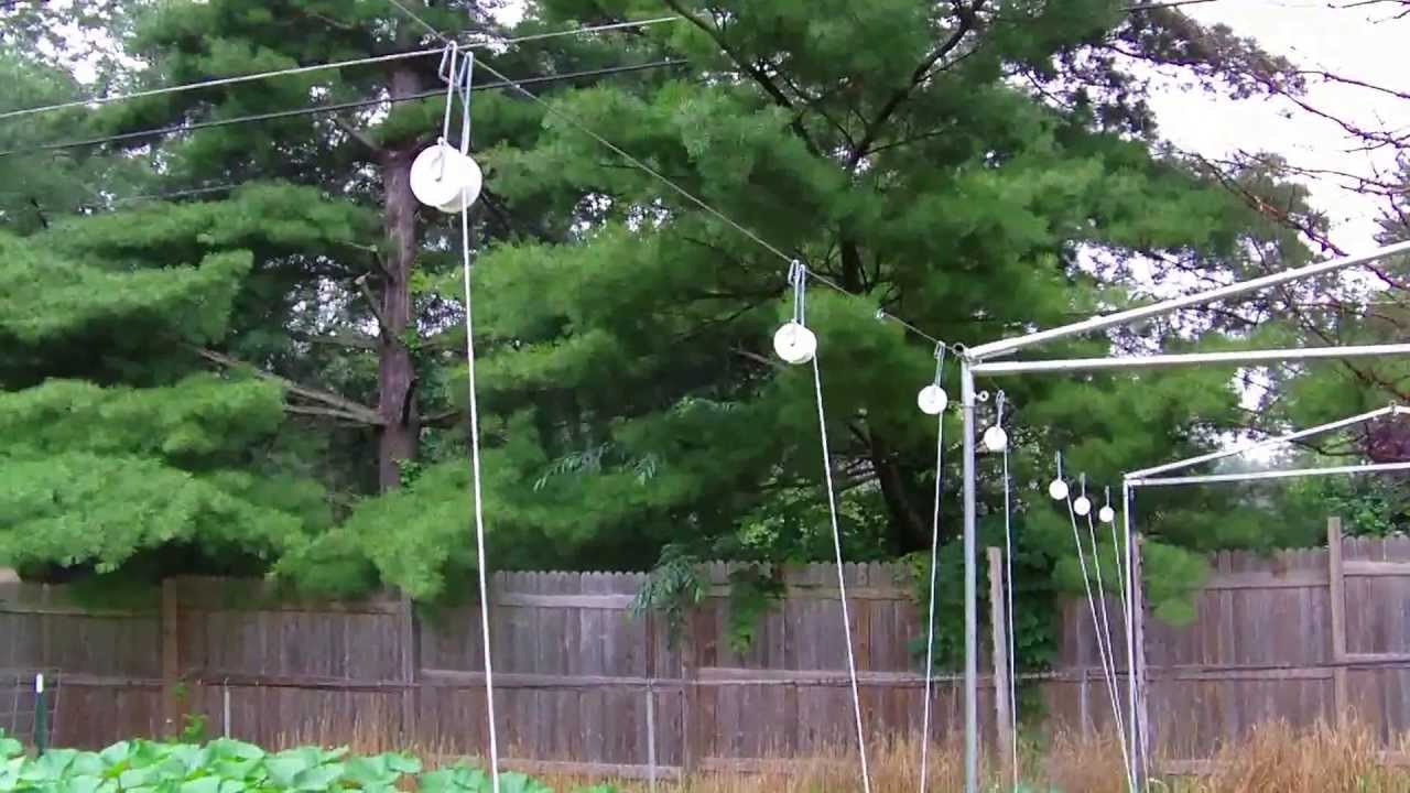 Using Tomato Rollerhooks