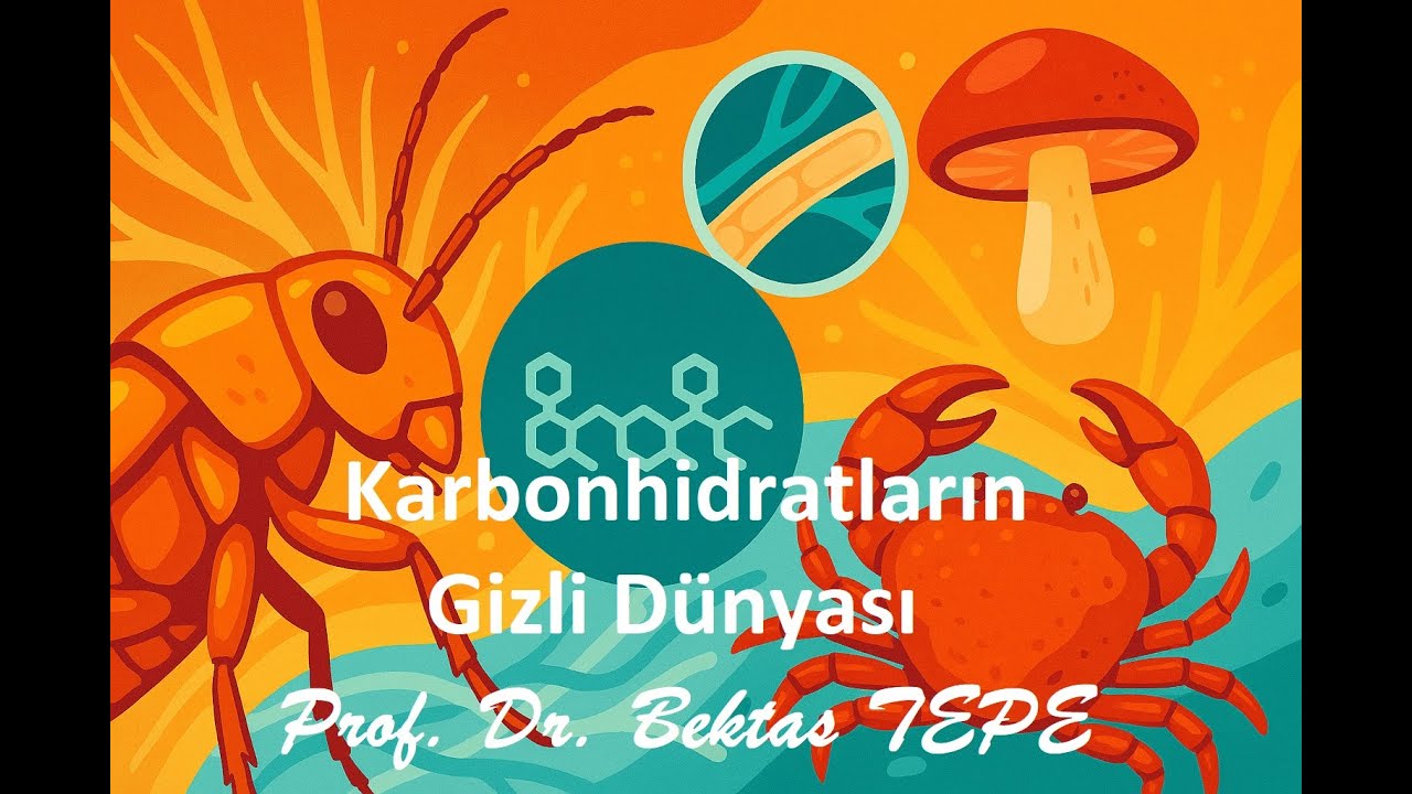 Karbonhidratların Gizli D&uuml;nyası #Karbonhidrat #Glikoz #Monosakkarit #Disakkarit #Polisakkarit
