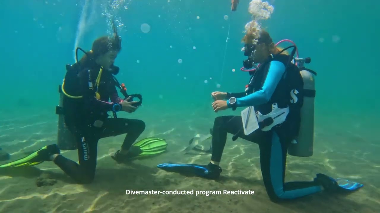 PADI Divemaster-conducted program workshop 1 : reactivate