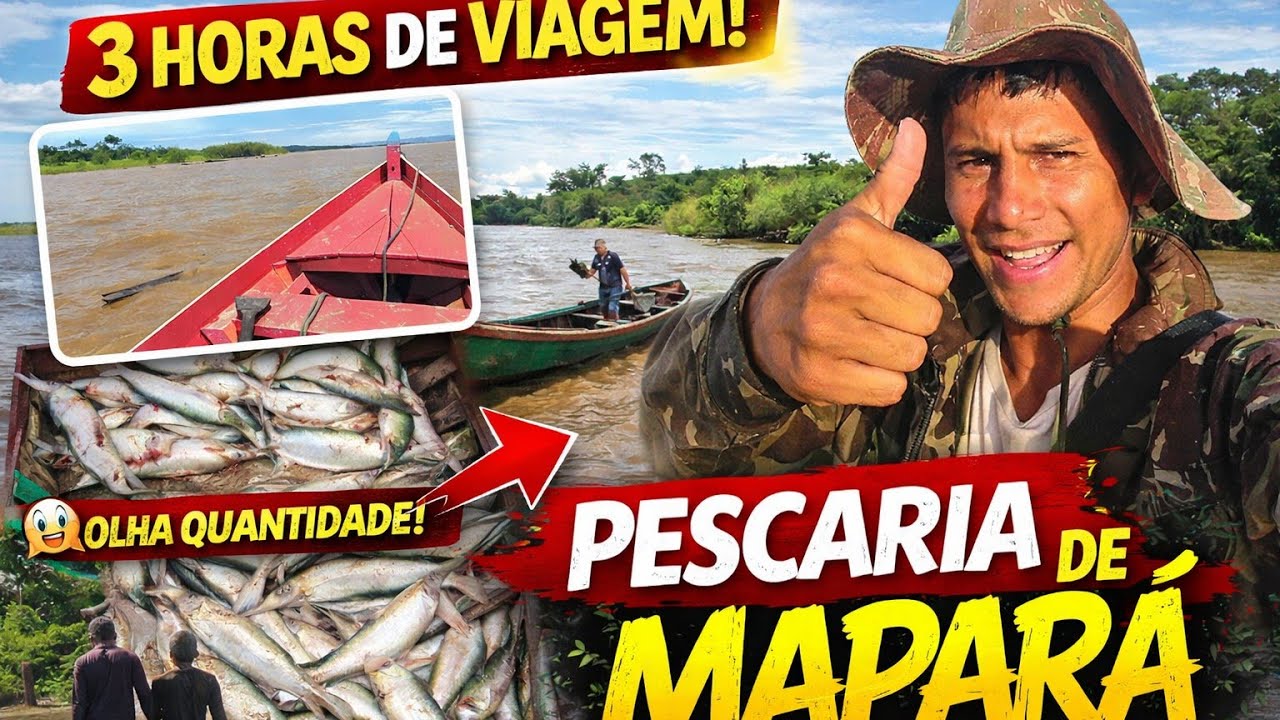 PESCARIA DE MAPARÁ NA AMAZÔNIA/ 3 HORAS DE VIAGEM NO RIA AMAZONAS/ PARTE 1
