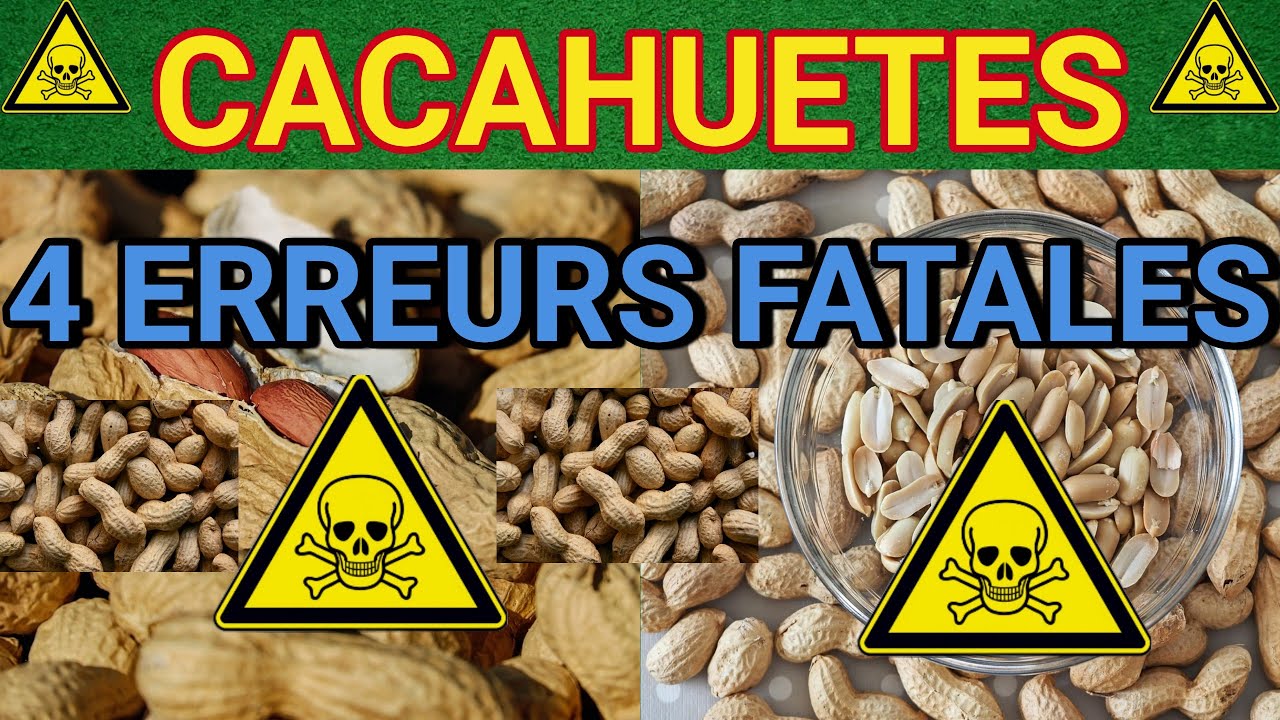 CACAHUETES : 4 ERREURS FATALES QUI MENACENT VOTRE SANTÉ, DÉTRUISANT VOTRE BIEN-ÊTRE, AGISSEZ  !