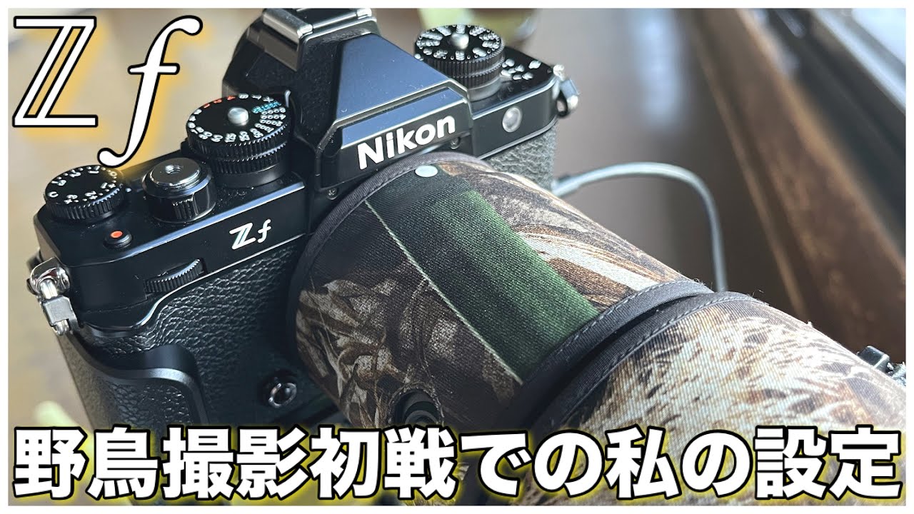 【 Nikon Z f 】野鳥撮影初戦での私のカスタム設定 - 神機能も -