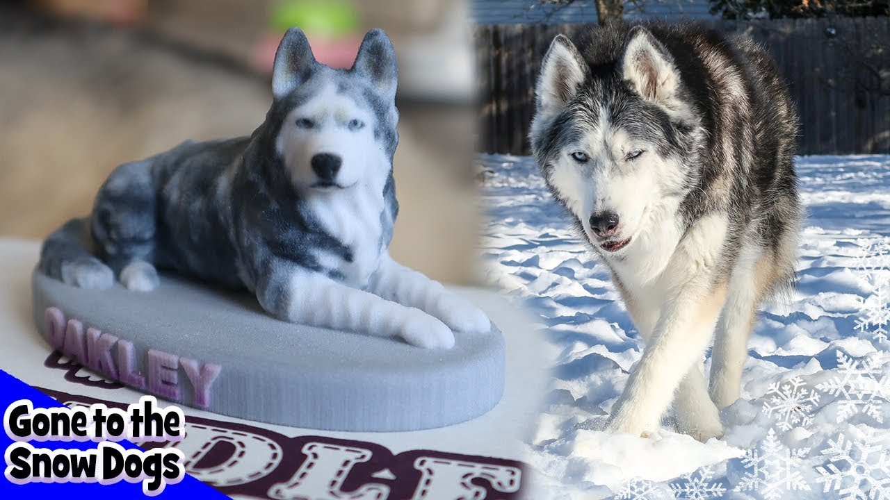 Oakley the Husky Pet Memorial from Cuddle Clones