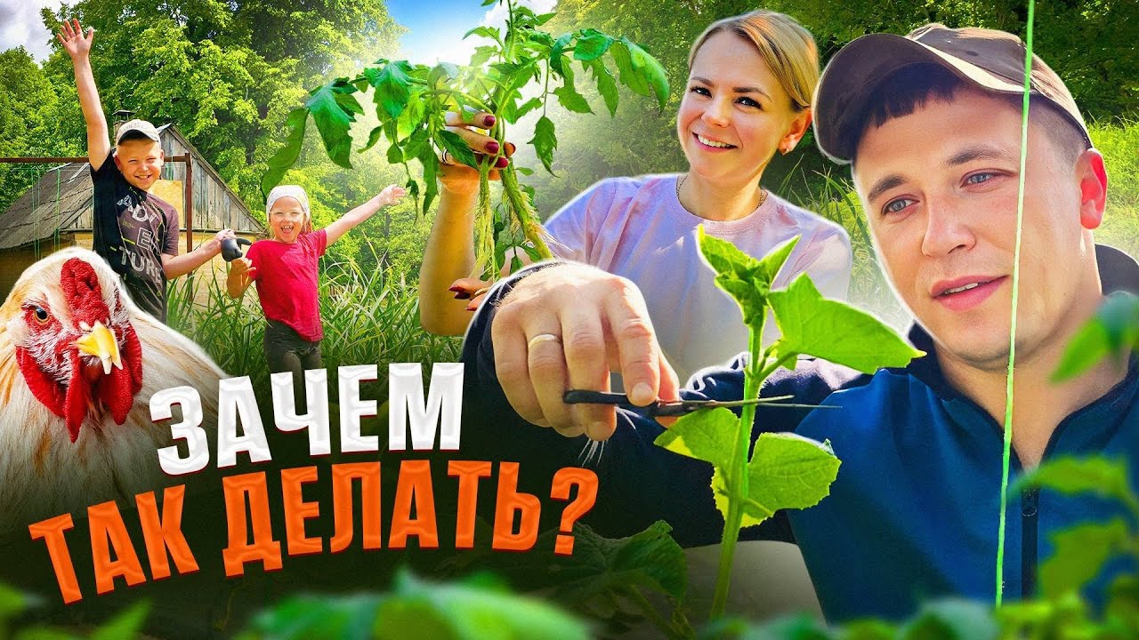 ФЕРМЕРСКИЕ БУДНИ: ОТ ИНКУБАТОРА ДО ТЫКВЕННОГО ПОЛЯ! ЧТО НУЖНО ЗНАТЬ КАЖДОМУ О ТОМАТАХ И ПЕРЦАХ?