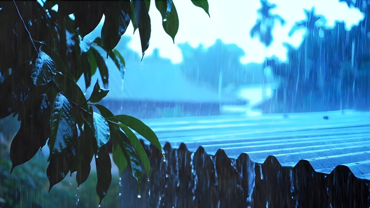 🌧️Rain on Tin Roof with Gentle Falling Crackling || Relax, Sleep Fast and Boost Focus