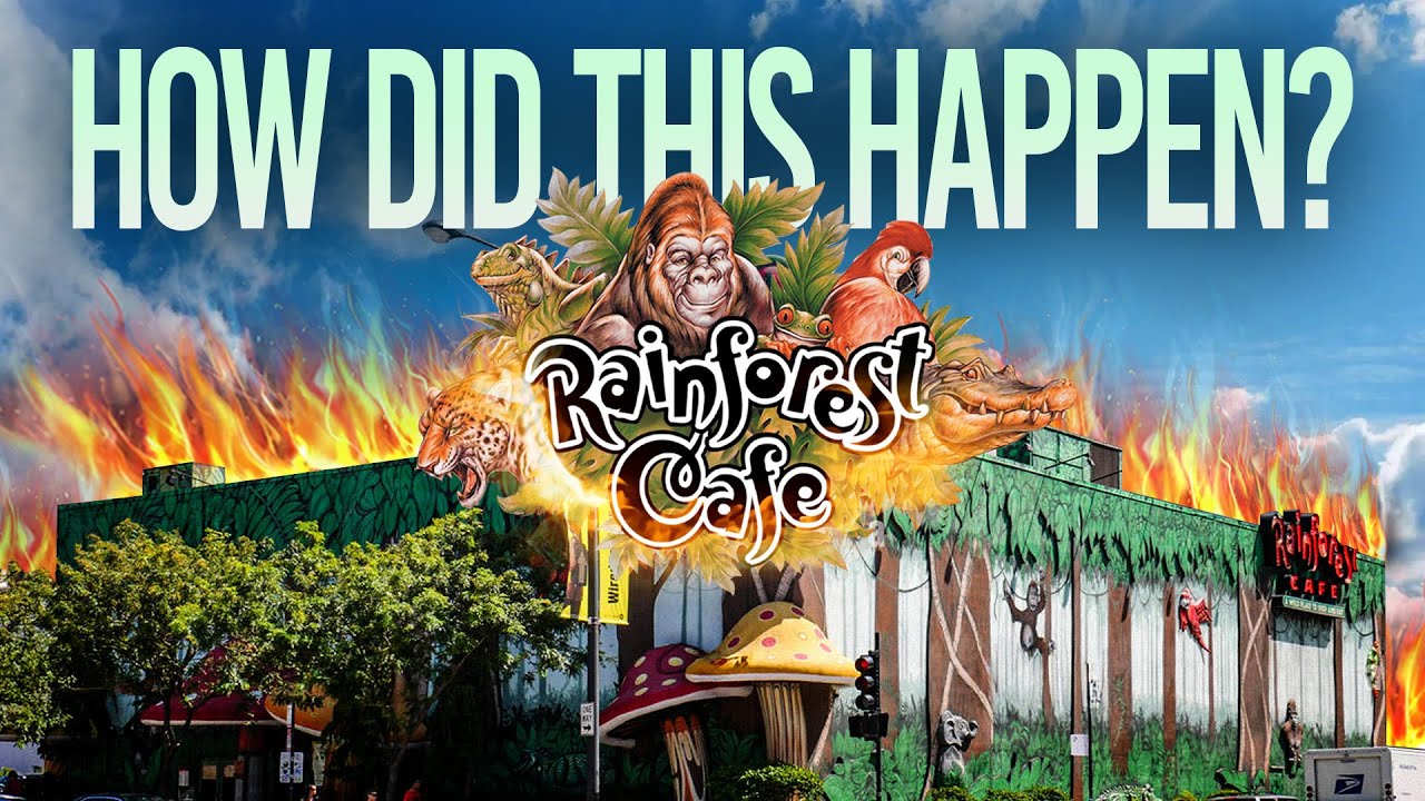 Кафе «Тропический лес» было обречено с самого начала.