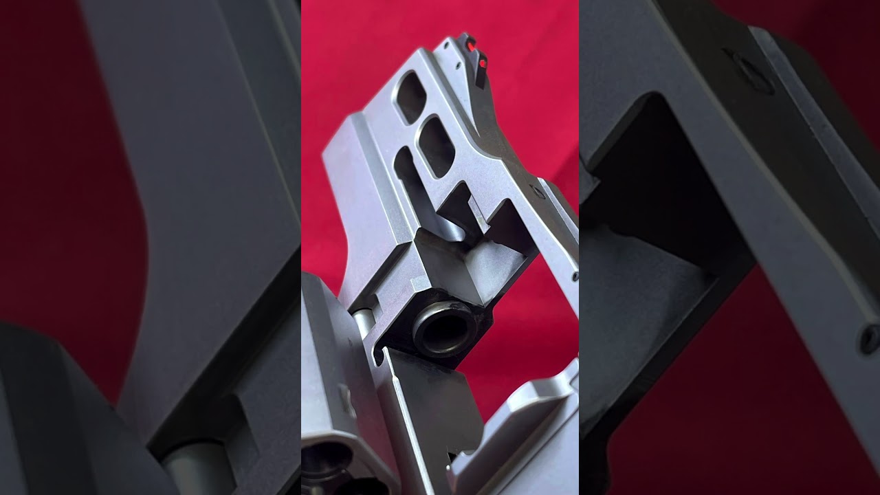My Revolver Collection Pt.54 - Chiappa Rhino 30DS X (All Stainless)