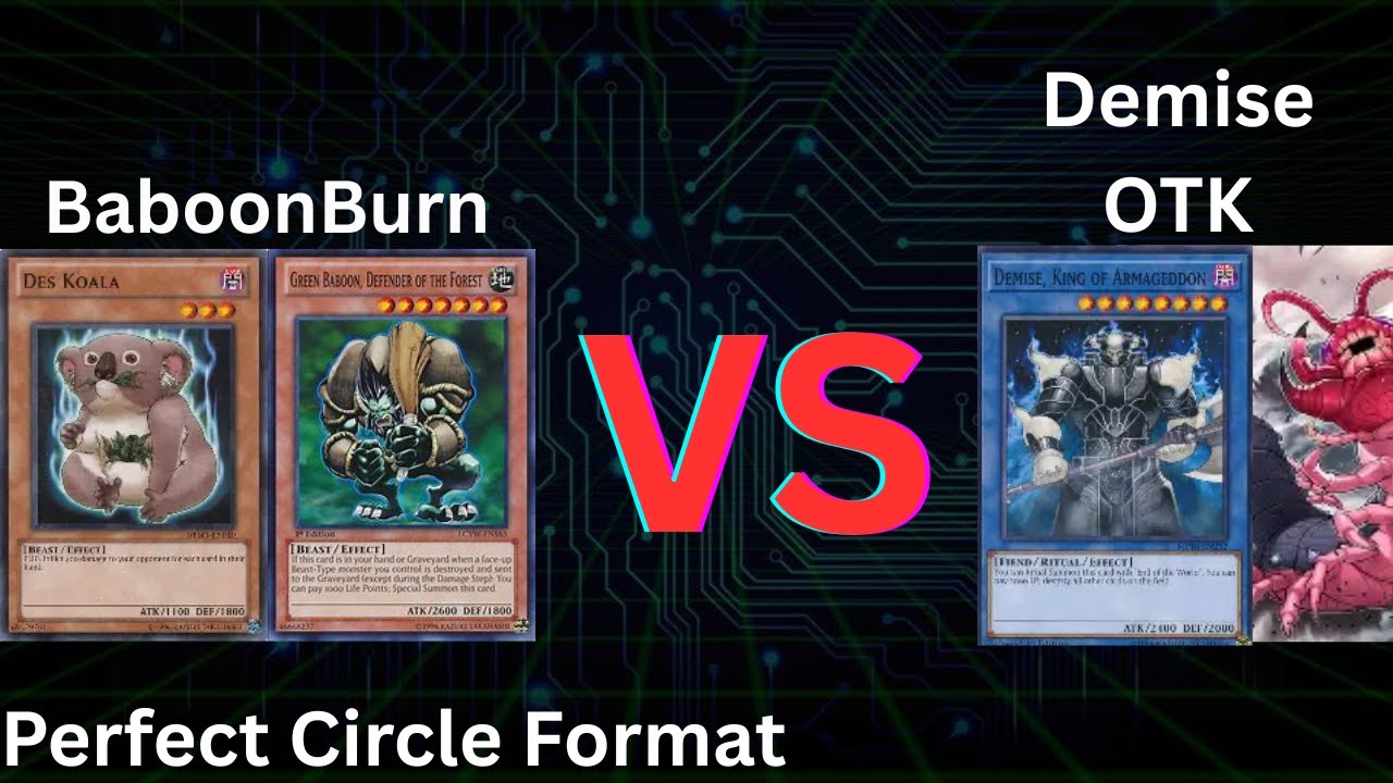 BaboonBurn VS Demise Turbo Perfect Circle Format