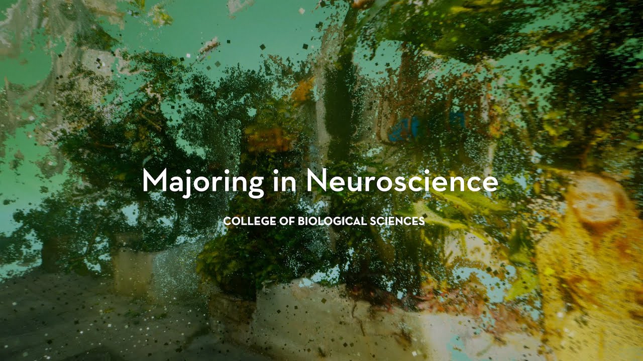 Neuroscience major