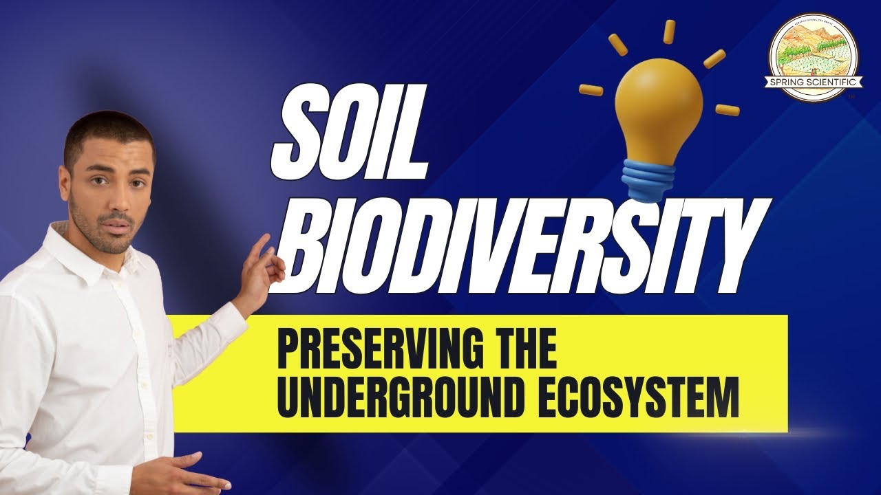 Soil Biodiversity: Preserving the Underground Ecosystem | Spring Scientific | Soil Health & Farming