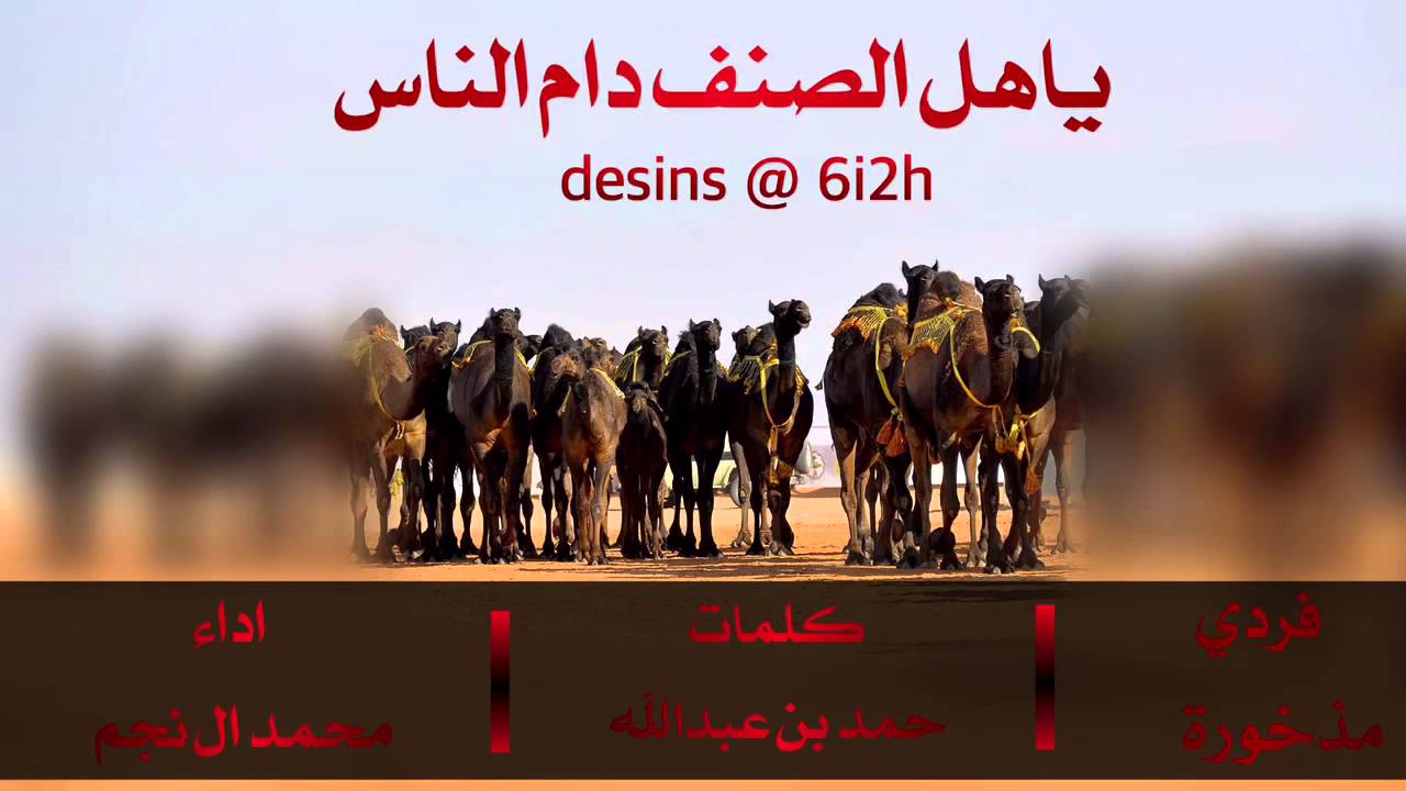 شيلة ياهل الصنف دام الناس | اداء محمد ال نجم + طررب + mp3