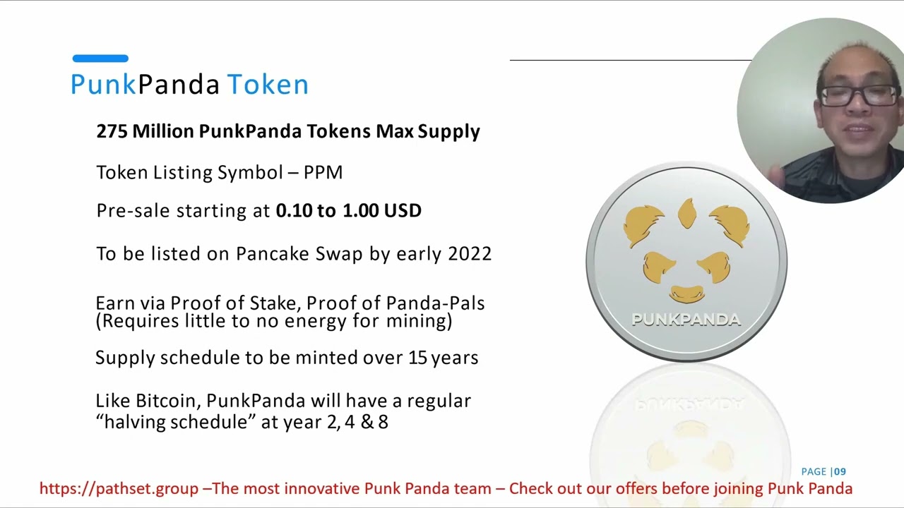 Punk Panda Token (PPM)