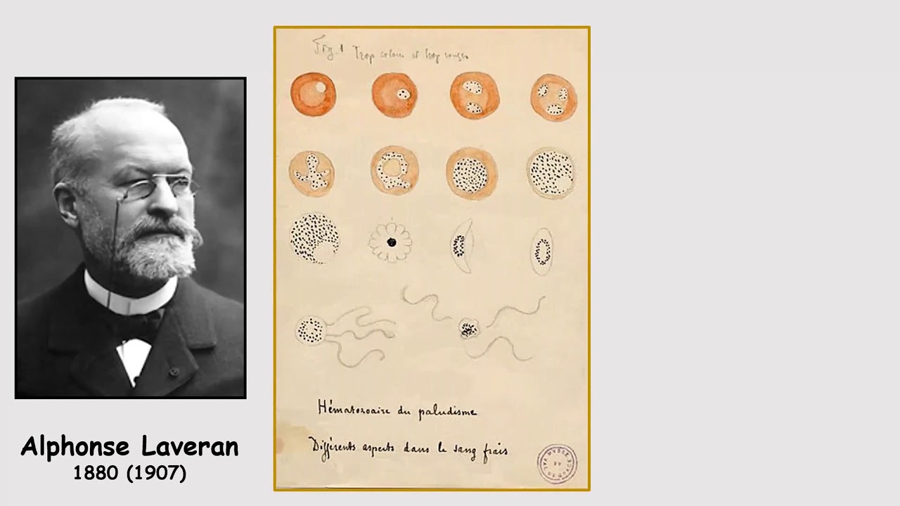 Lessons Learned in a Career in DOD Vector Control