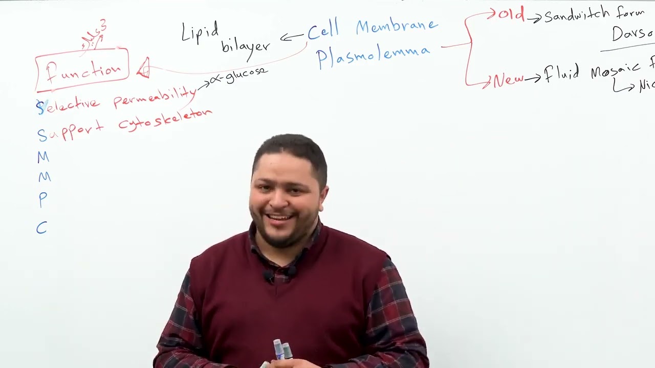 Cell membrane Plasmolemma 1