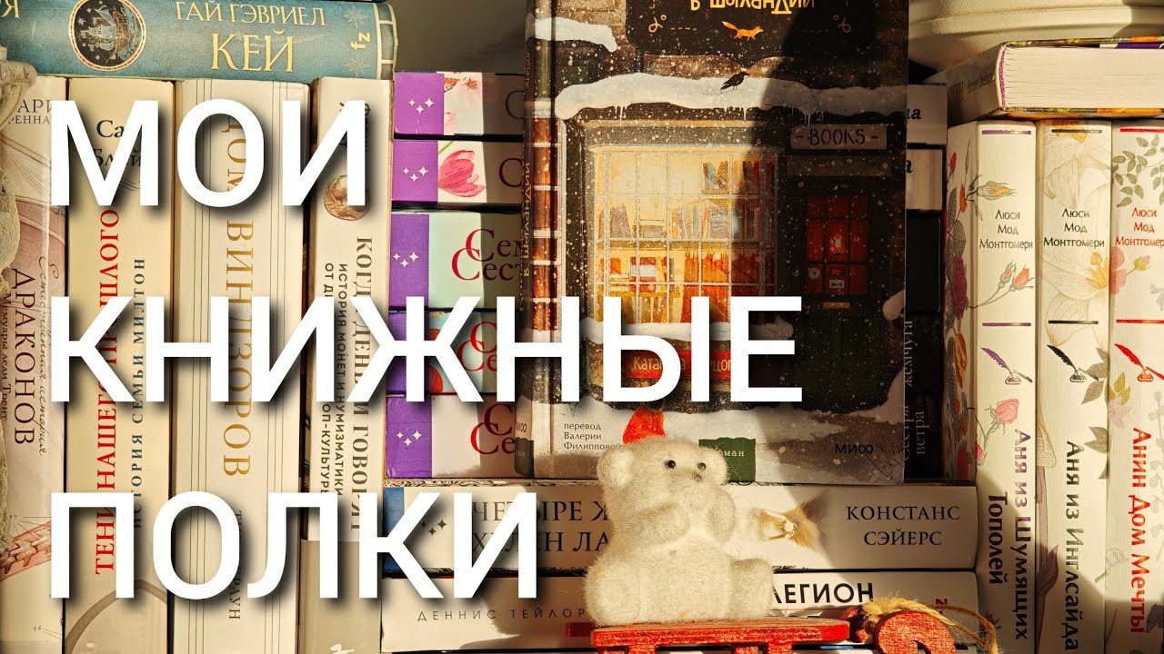 МОИ КНИЖНЫЕ ПОЛКИ| тур по моей библиотеке