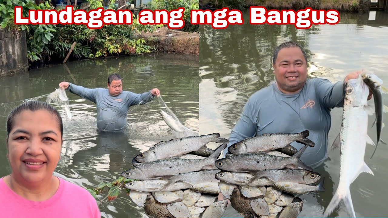 Lundagan ang mga Bangus + May nagpadala para kay Annie Rose