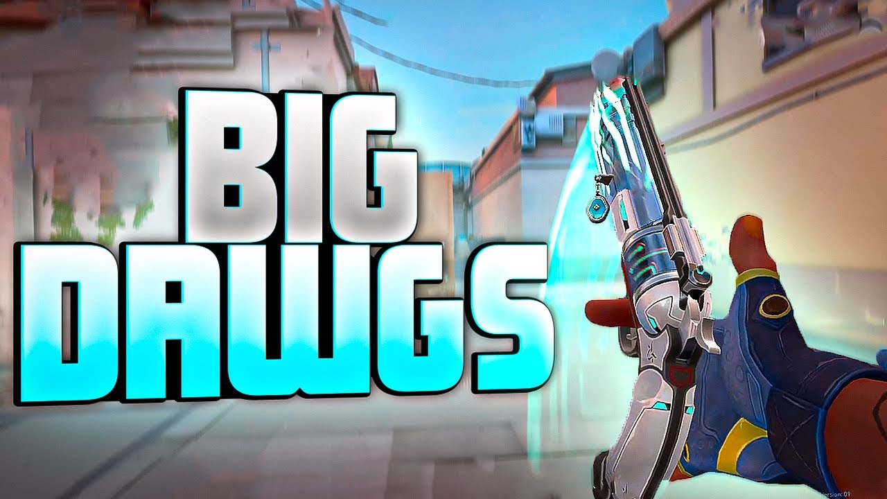 BIG DAWGS 🐯 | valorant montage