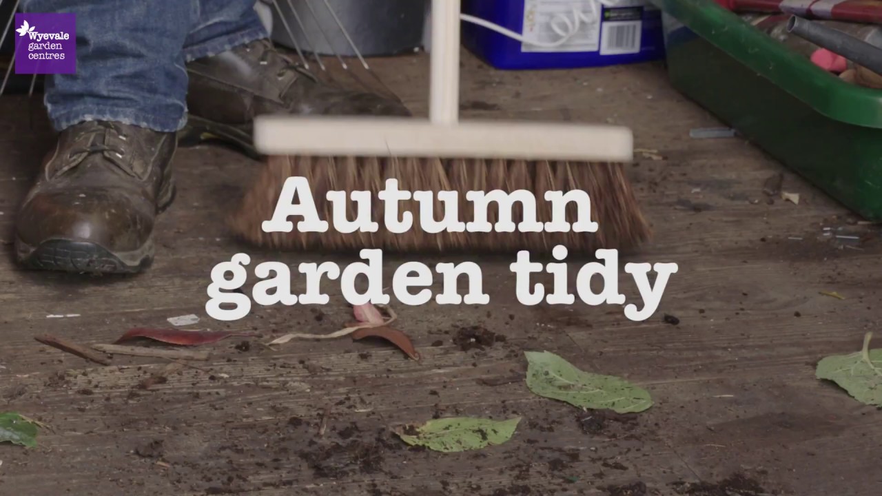 Autumn Gardening Jobs: Clean-Up & Maintenance