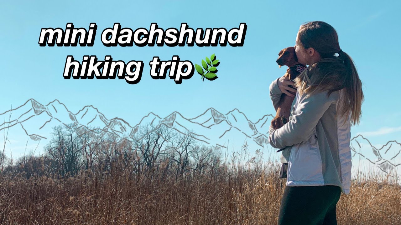 Dachshund Hiking Trip!!!
