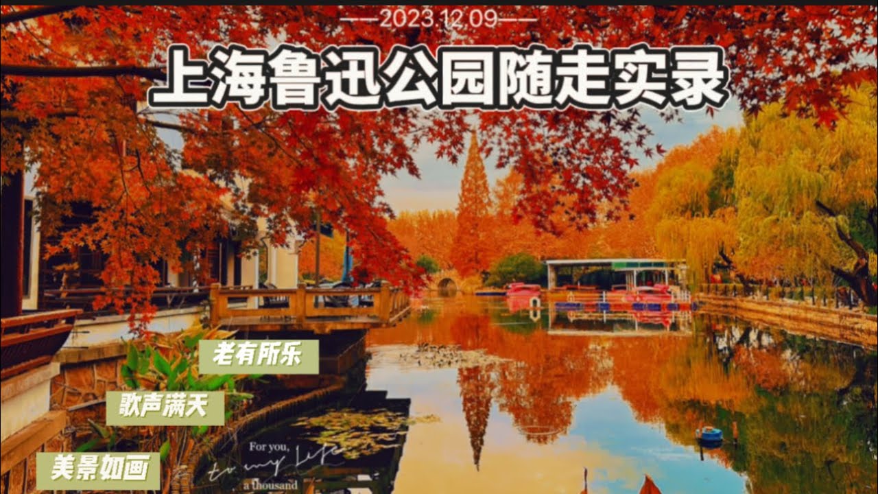 2023.12.09 上海鲁迅公园随走实录，美景如画、老有所乐、歌声满园#中国歌曲 #中国文化 #上海鲁迅公园