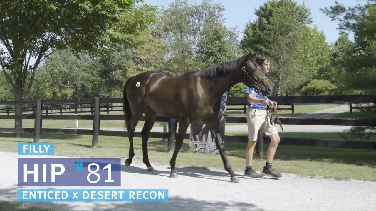Kenny McPeek on $105k Enticed yearling at Fasig July