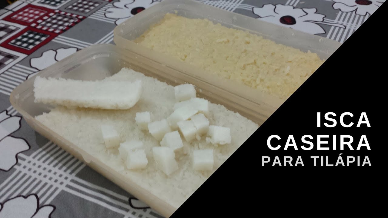 Isca caseira para pegar Tilápia com sabor