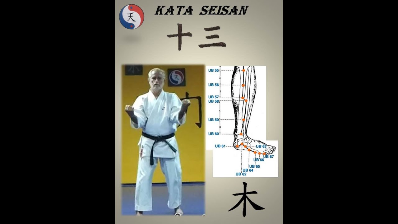 KATA SEISAN (13) Descripción y análisis de los movimientos del Kata Seisan