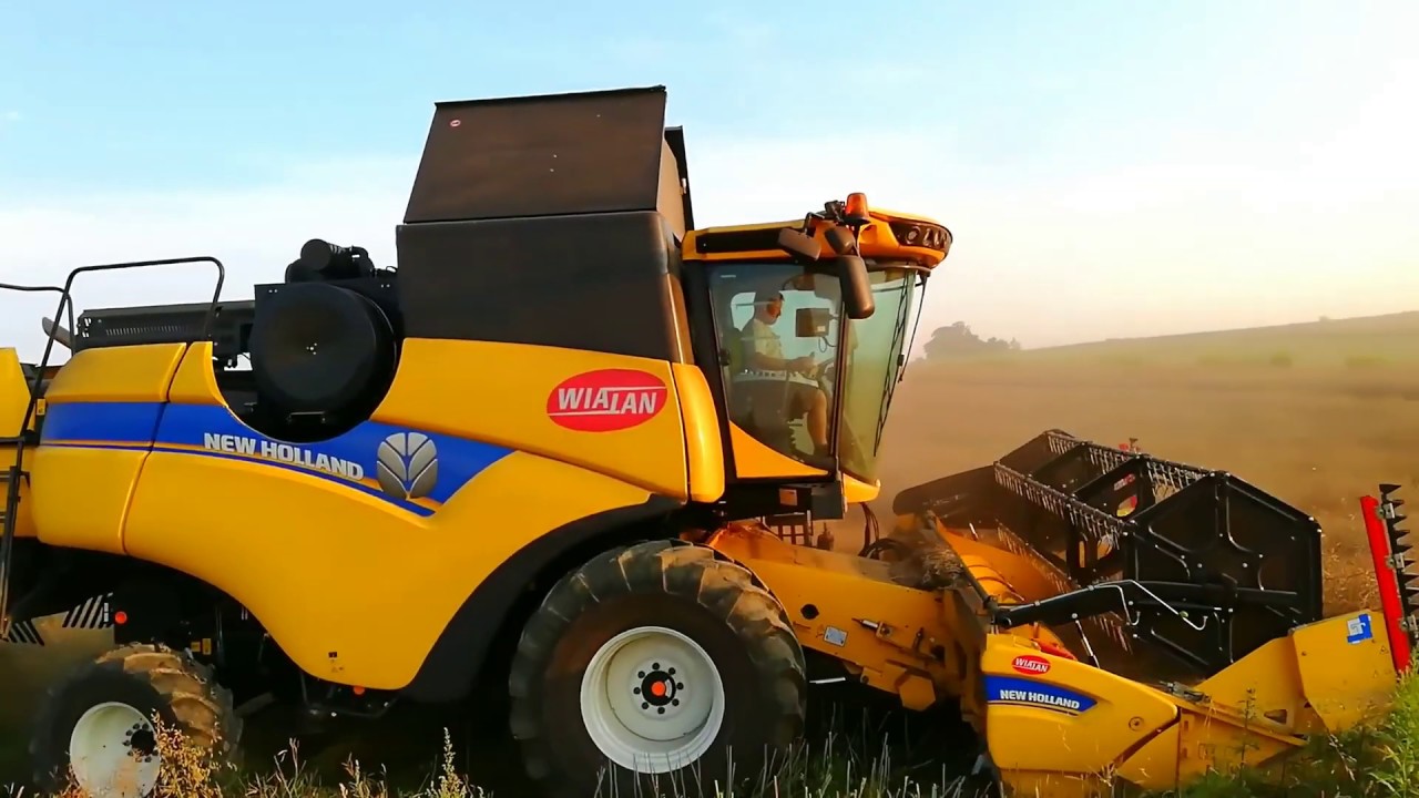 Żniwa Rzepakowe 2019 w GR Natkaniec /New Holland Cx 5.80 / Kubota Gx135-II / Hl 80.11