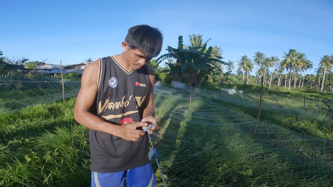 Pag buo  ng lambat na no.8 varando tv