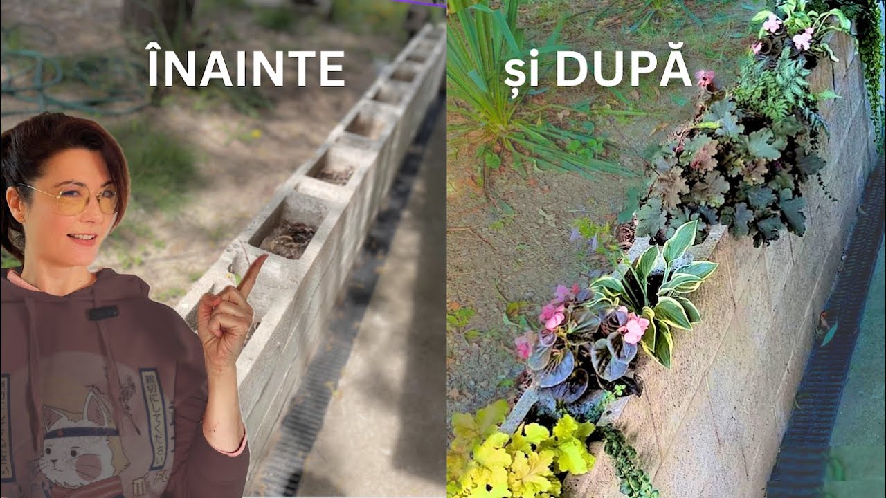 Plante de umbră… în bolțari de beton!