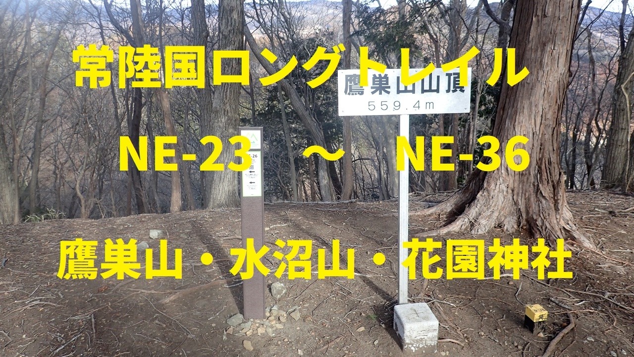 2026 2 19　鷹巣山・水沼山・花園神社　常陸国ロングトレイルNE 23～NE 36