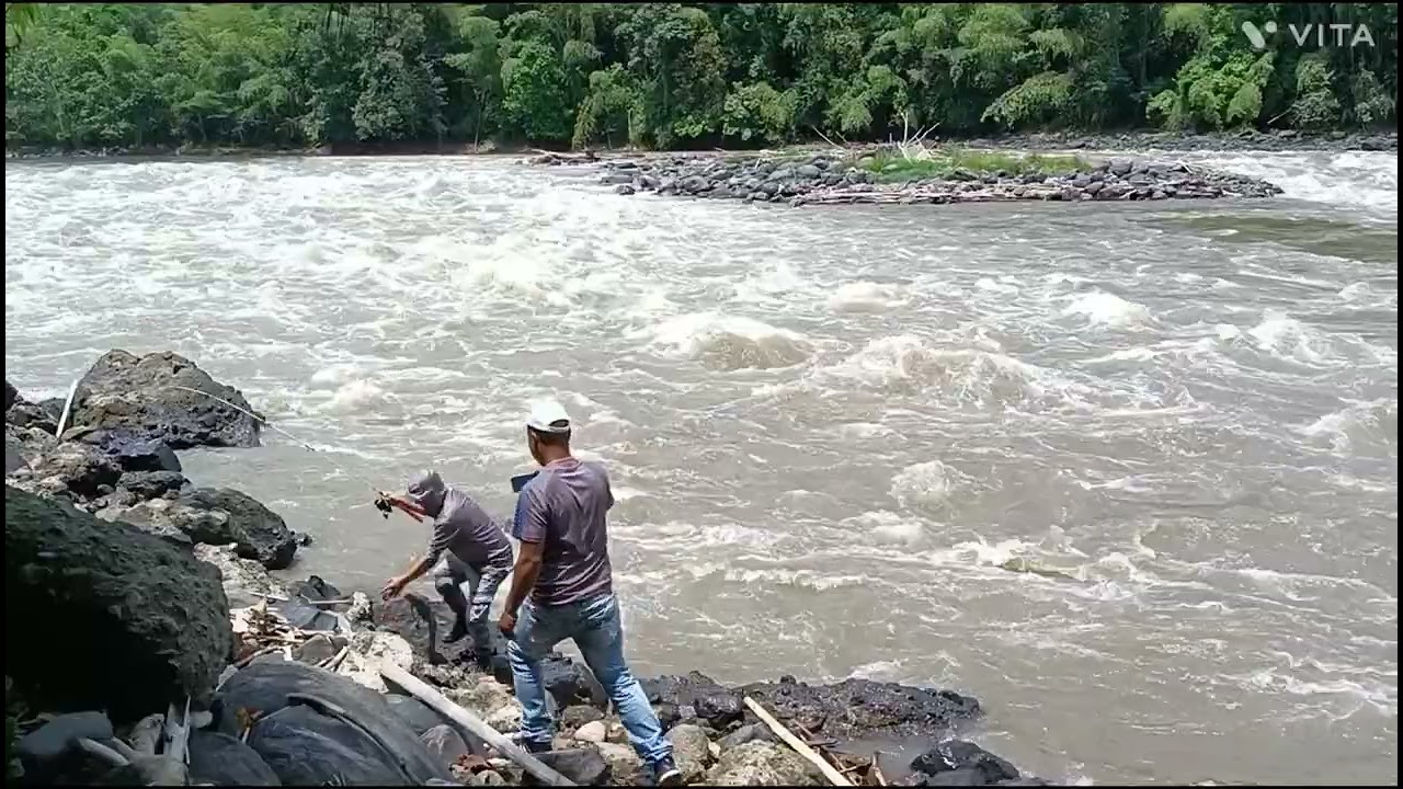 río cauca Zabaleta paloma