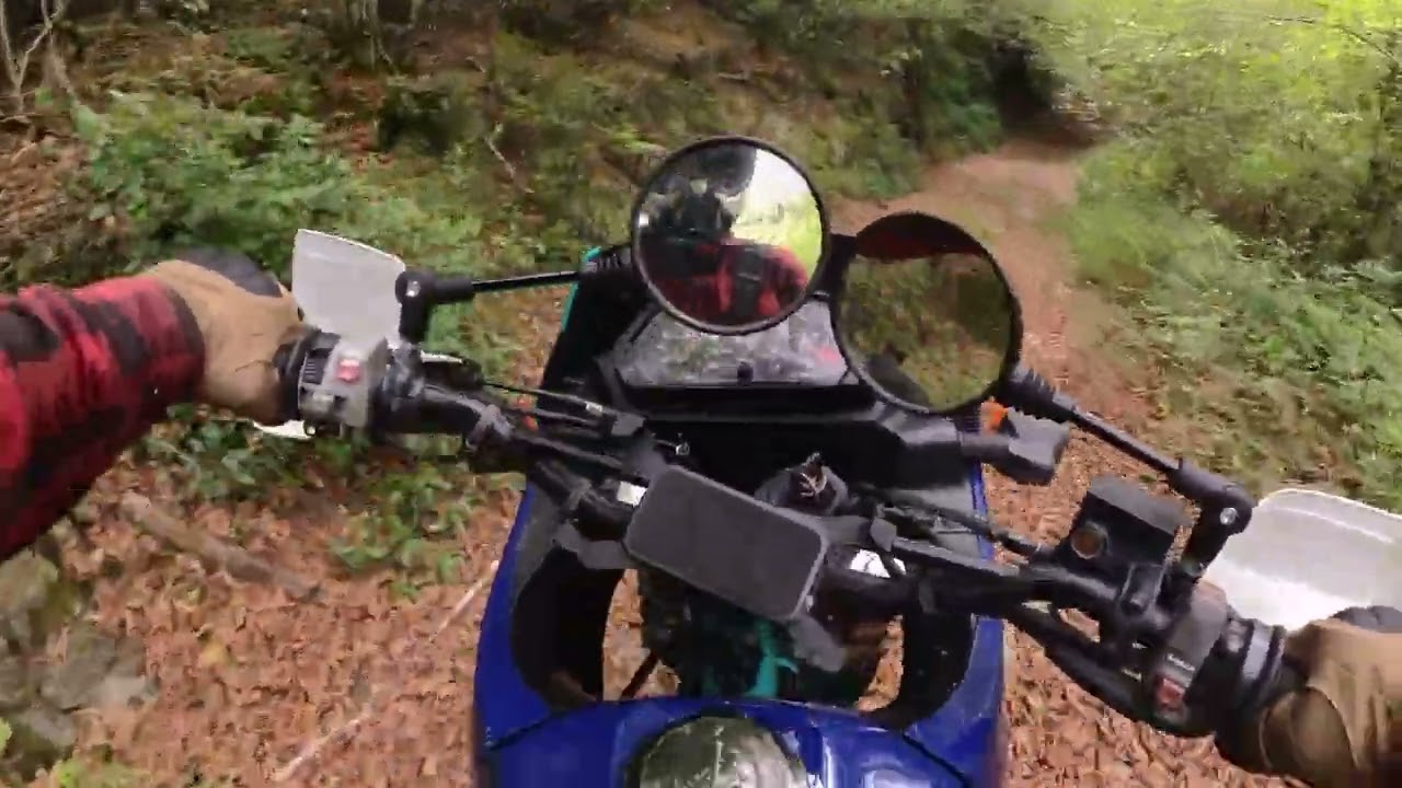 NX650 Off road