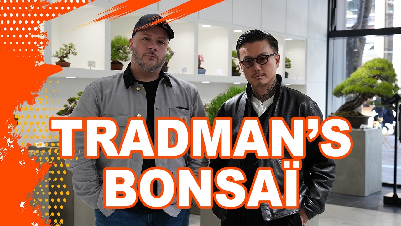 TRADMAN'S BONSAÏ, qui sont-ils ??