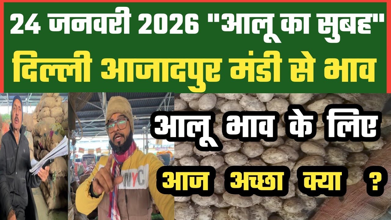 आलू बिकेगा इज्जत से , Azadpur Delhi Mandi Today में 24-01-2026 के Potato Price DMT TV