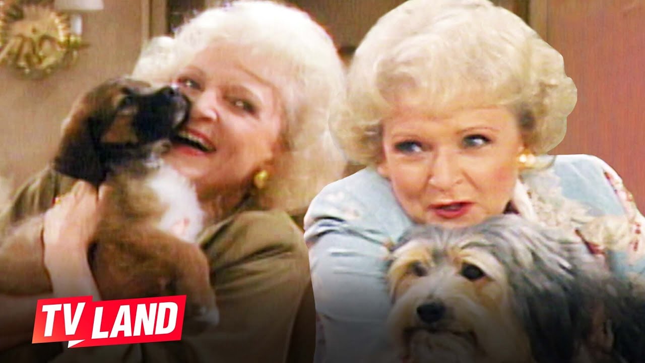 Rose’s Favorite Pets ❤️🐶🐷🐔 Golden Girls