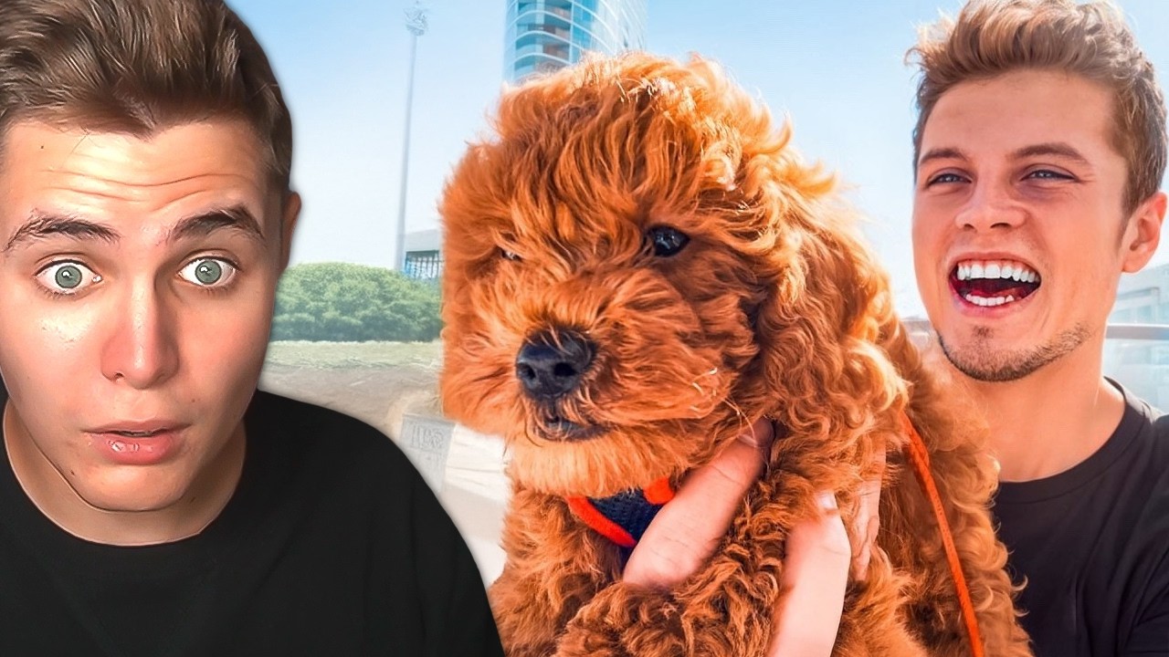 Jon Marianek To Konečně Udělal