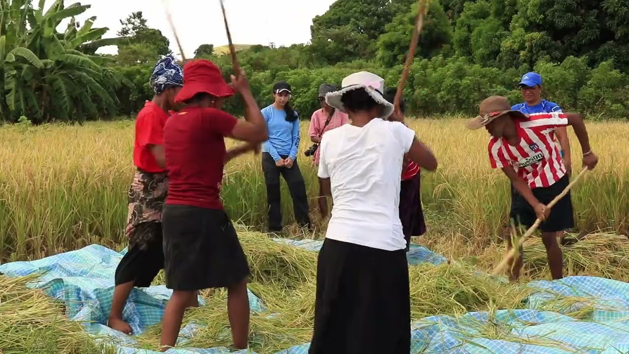 Documentaire - Le privilège de l'indifférence - Kairos