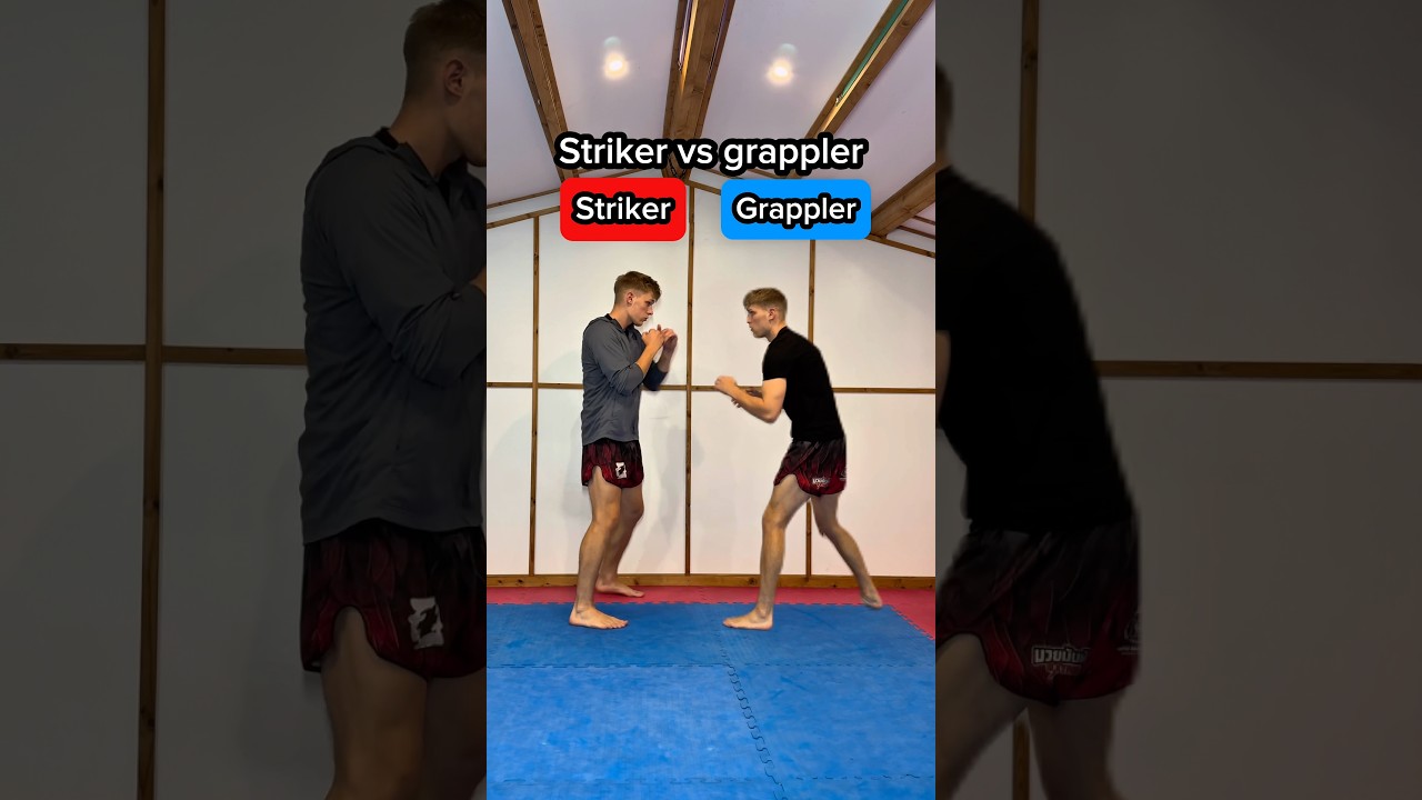 STRIKER vs GRAPPLER&hellip;