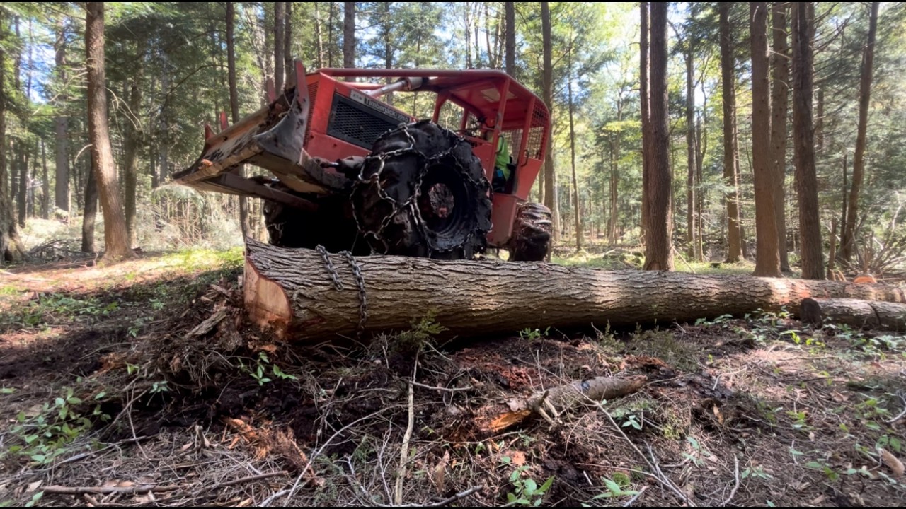 The good, the bad & the ugly of 2025 Logging