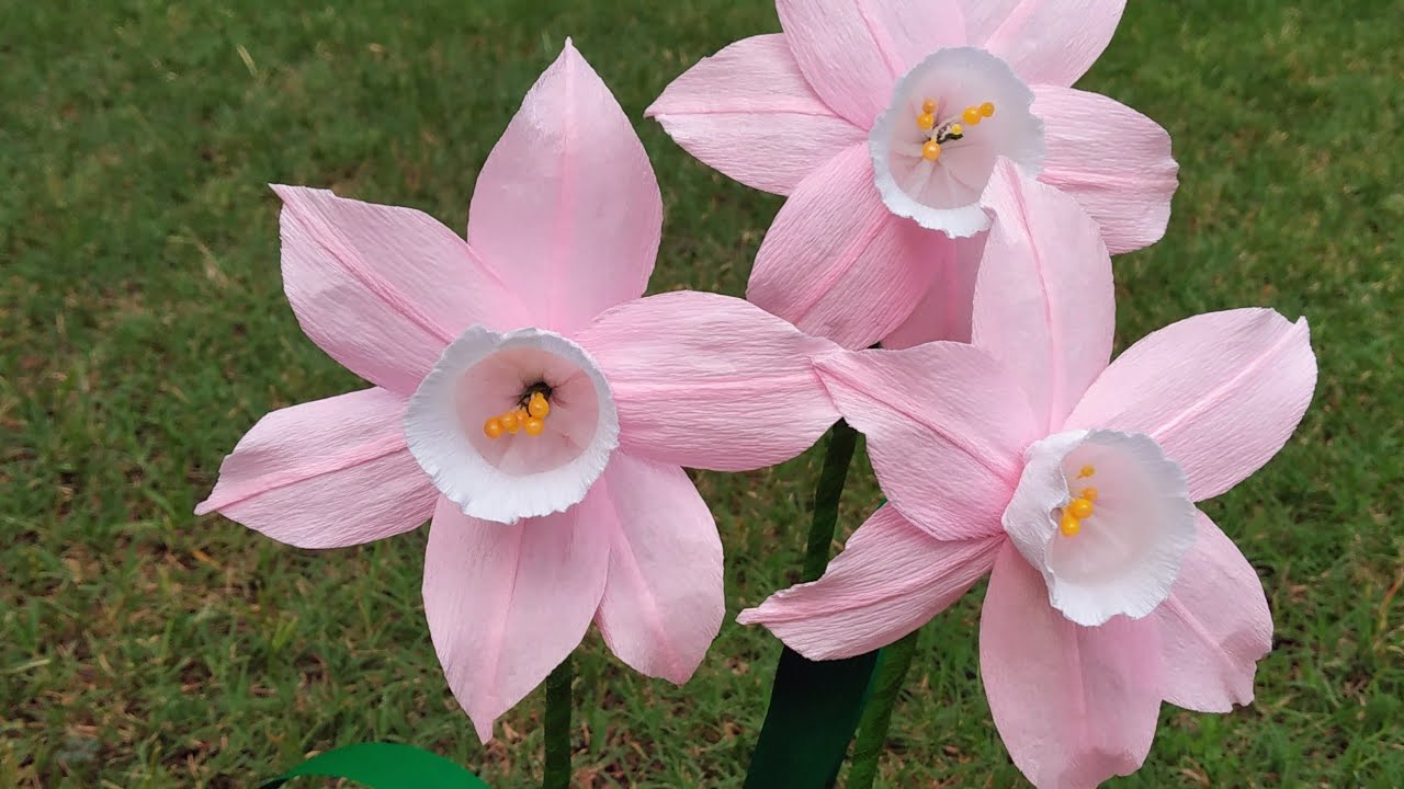 DIY crepe paper Pink Daffodils