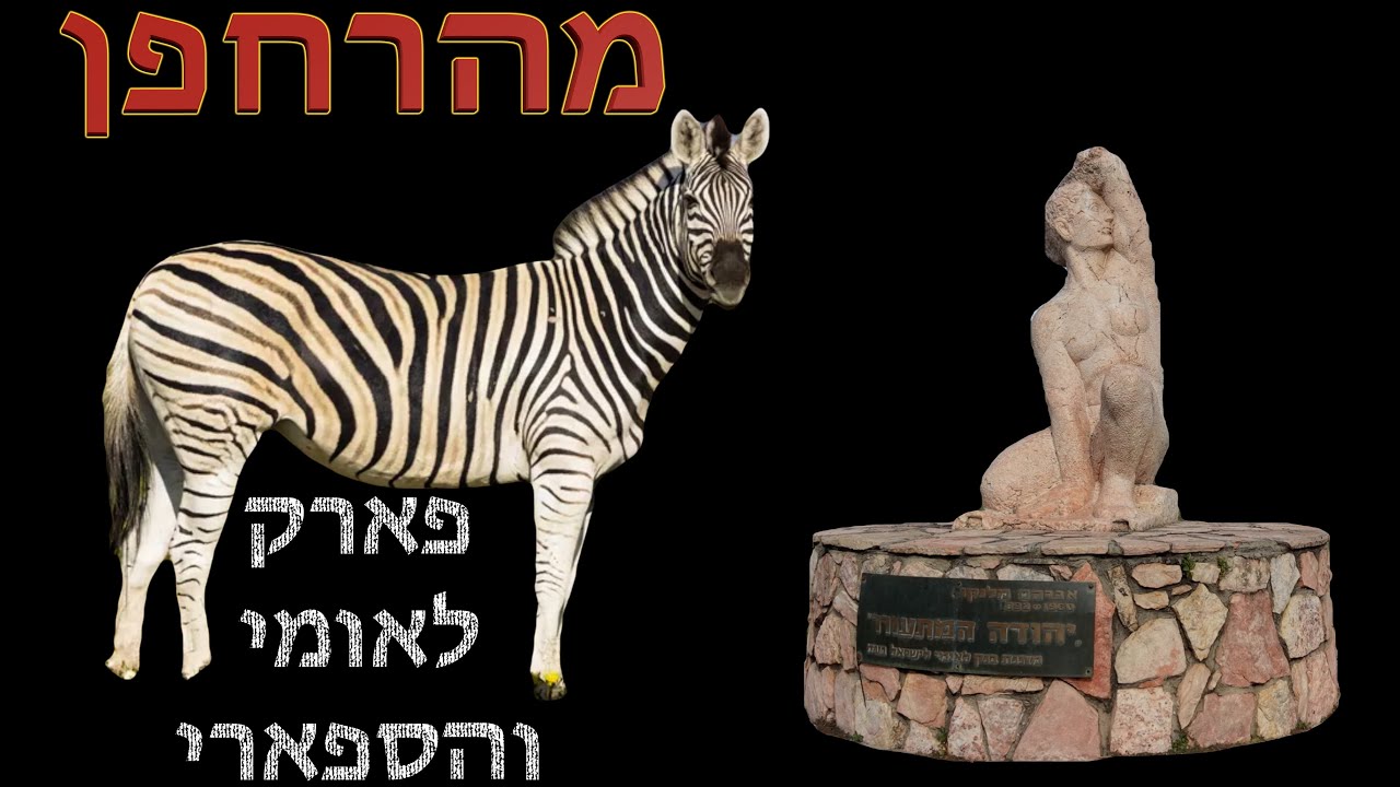 יהודה המתעורר מהאוויר – וצילומי ספארי מרהיבים מהרחפן