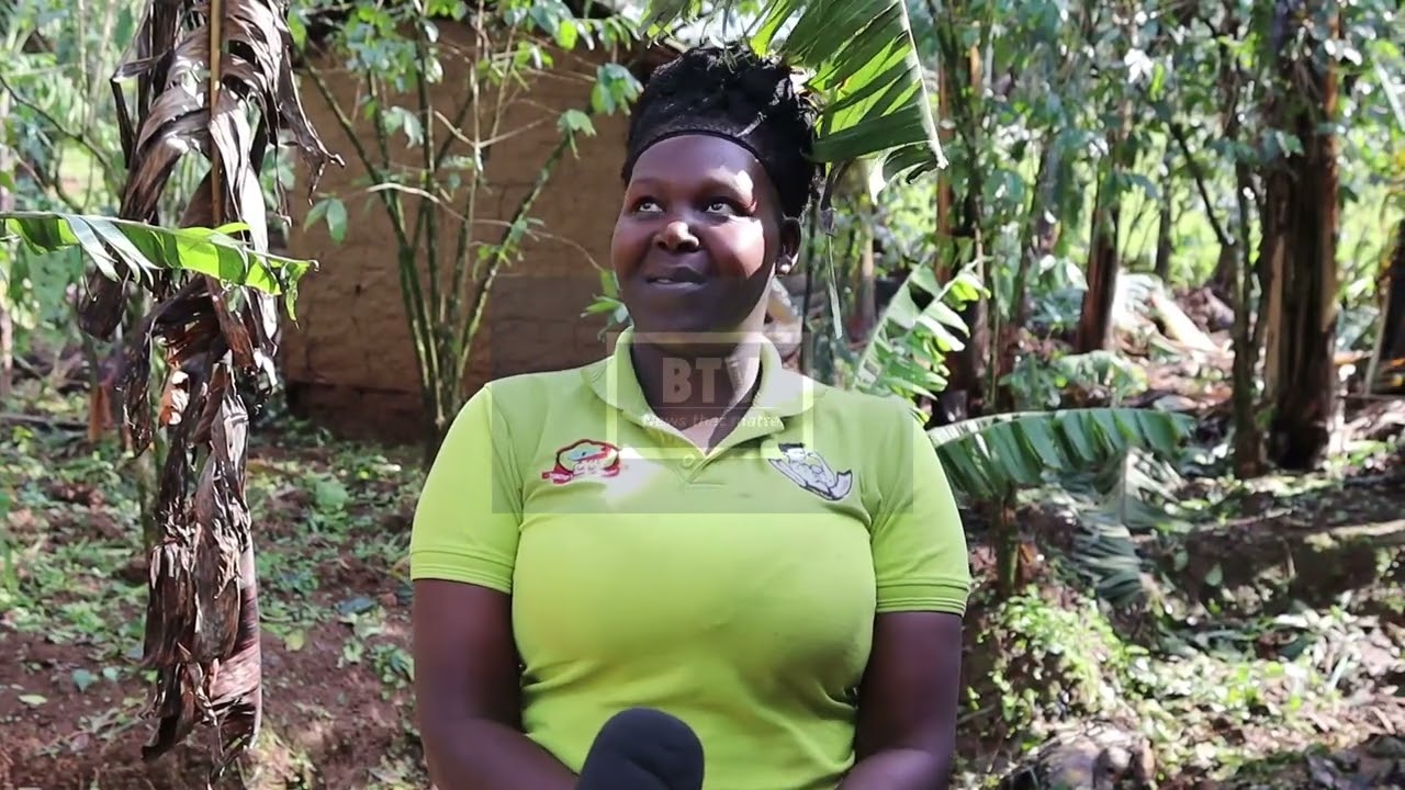 Hailstorm Obliterates Crop  Gardens in Bududa