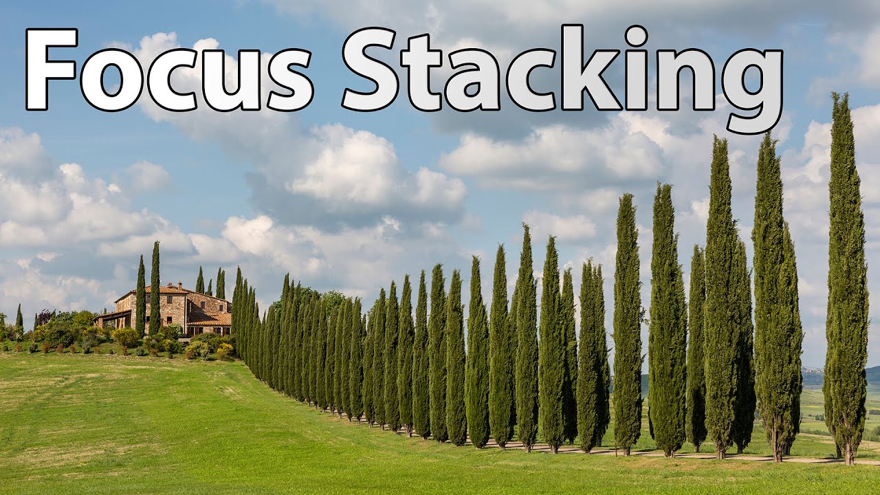 Focus Stacking - Schärfentiefe im Bild
