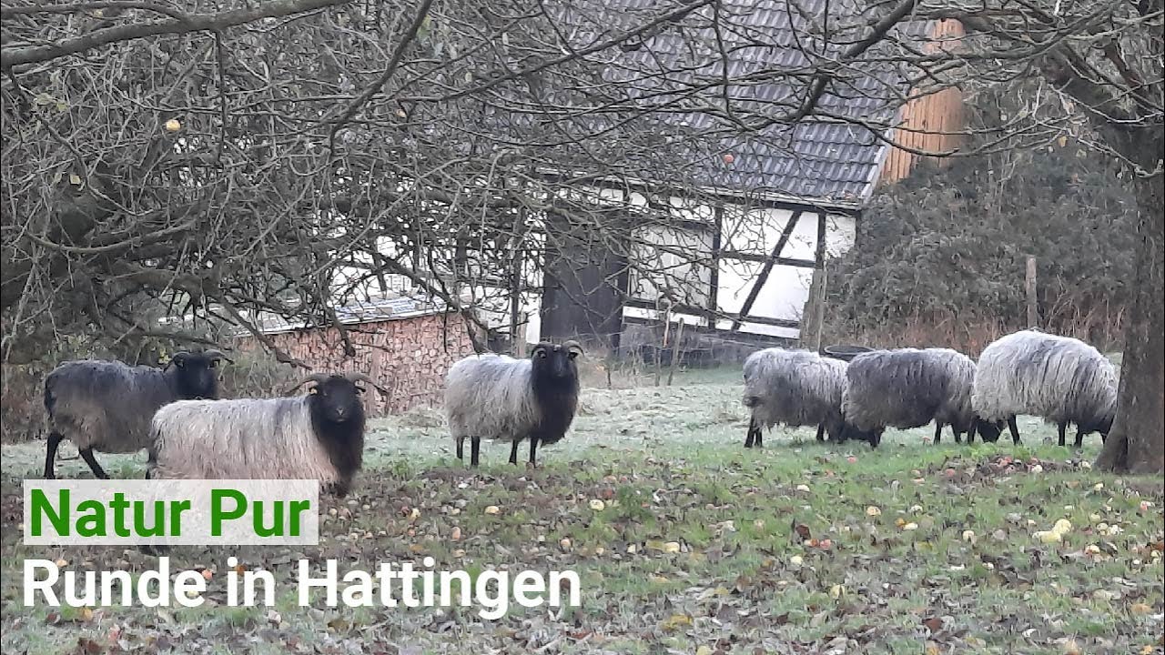 Natur Pur - Runde von Hattingen