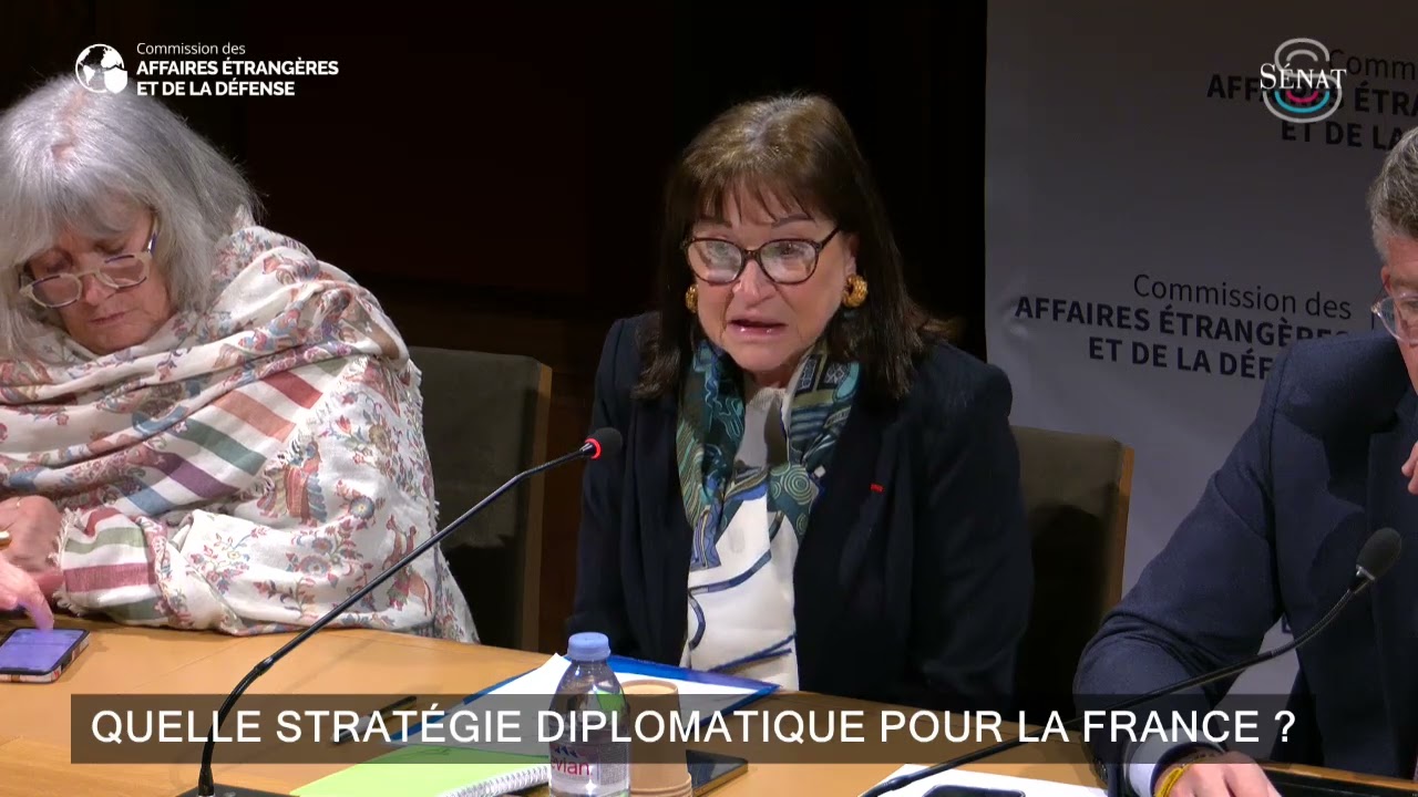 Audition de Sylvie Bermann, ancienne ambassadrice de France en Chine, au Royaume-Uni et en Russie