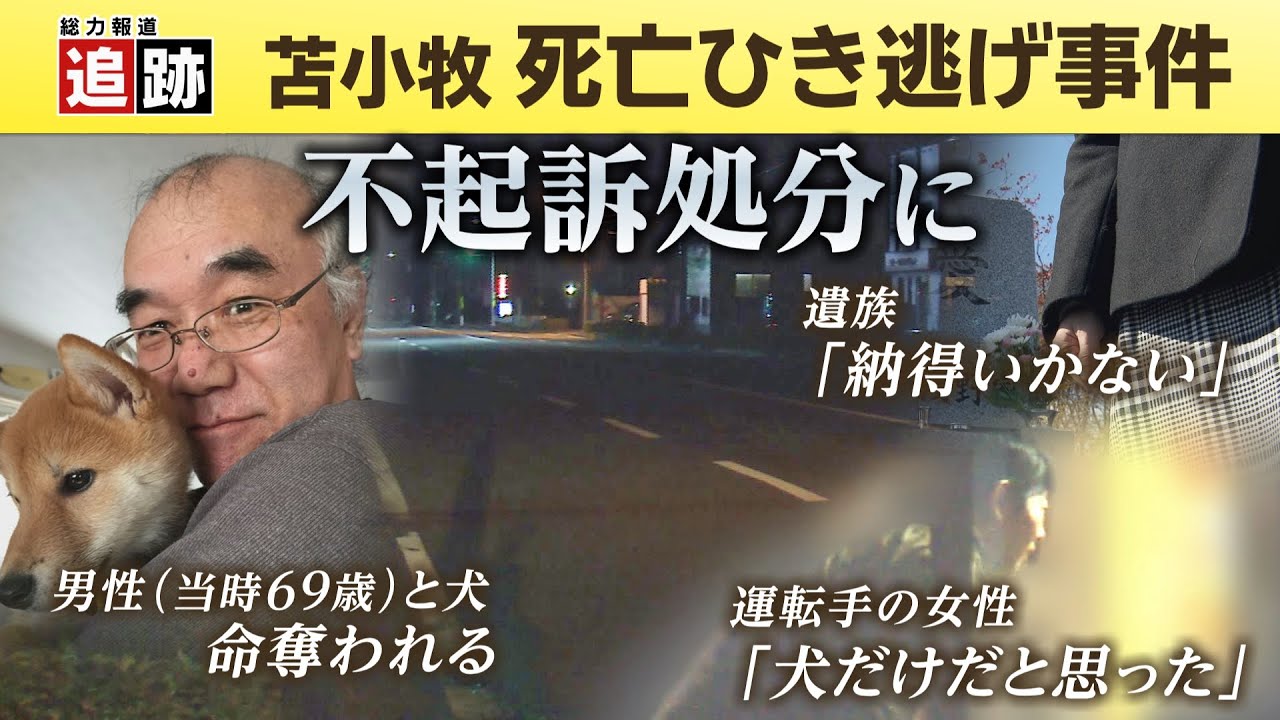 追跡！5年前の死亡ひき逃げ事件　「犬をひいたと思った」運転手の女性が不起訴に　無念の遺族は？