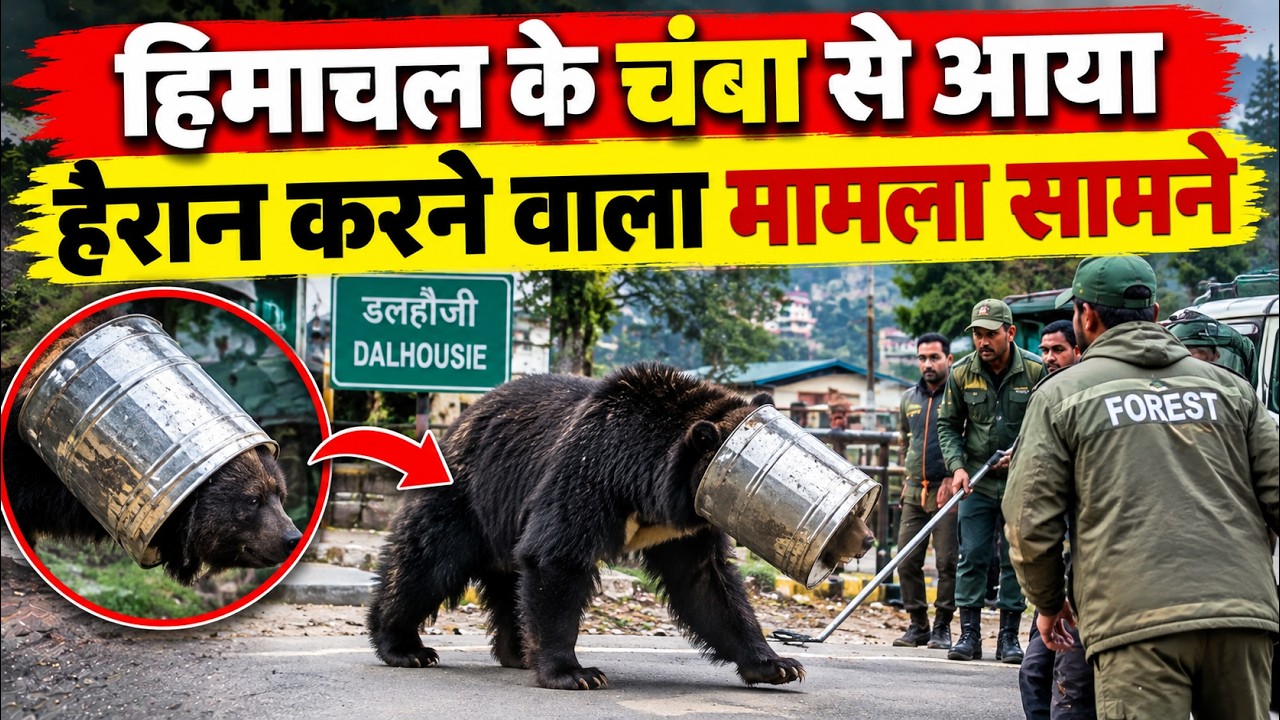 हिमाचल के चंबा से आया हैरान करने वाला मामला || Chamba News || Himachal Breaking News ||